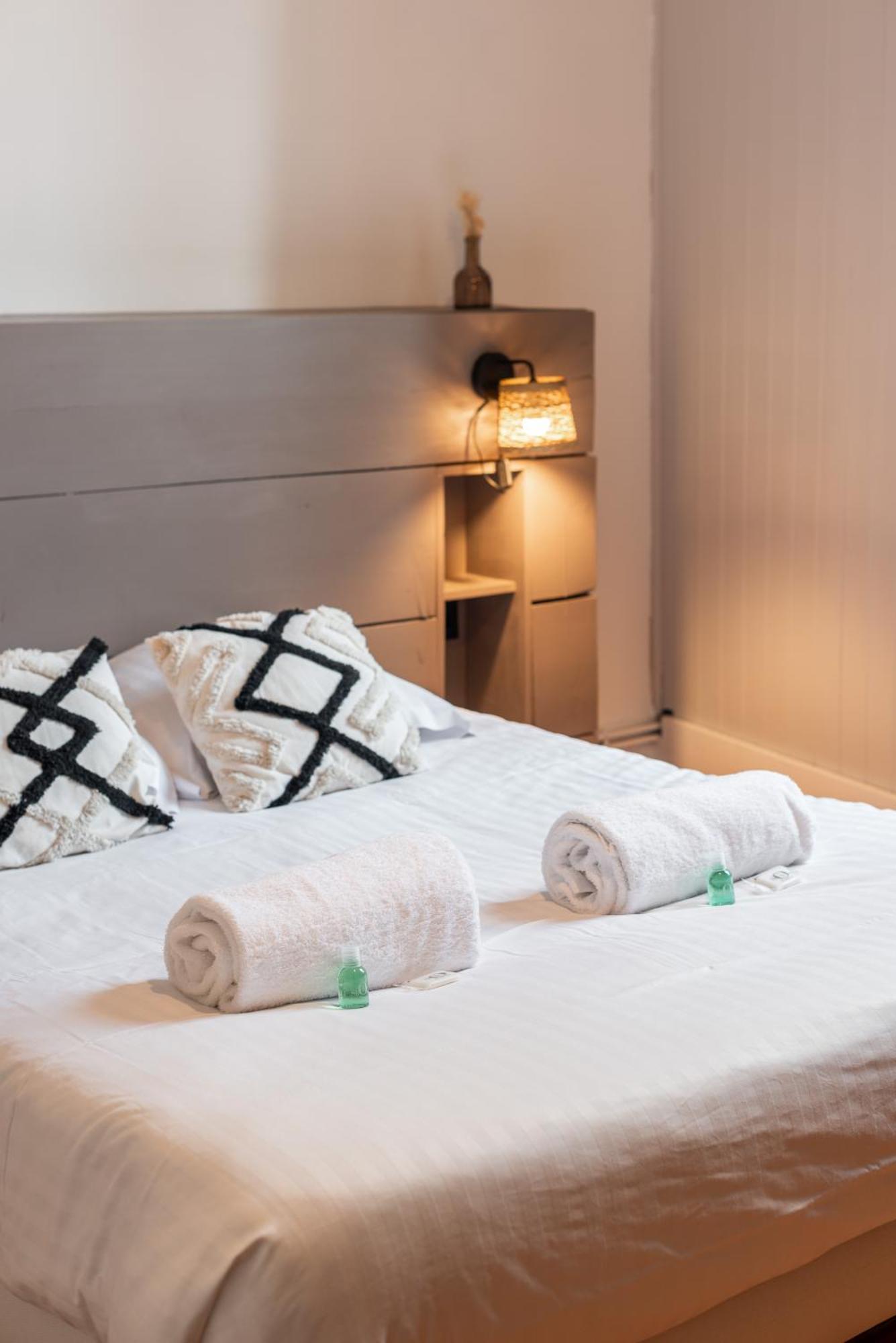 Appartement Spacieux Et Chaleureux Coeur De Ville Chambéry Dış mekan fotoğraf